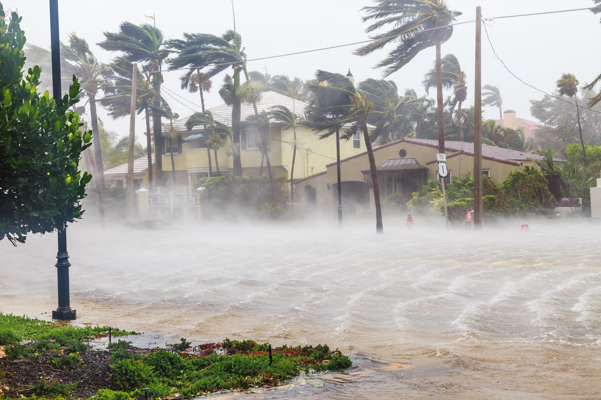 What Is The Definition Of Environmental Catastrophe